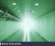 Tunnel Englischer Garten Luxus Underpass Tunnel Stock S & Underpass Tunnel Stock