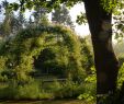 Verwilderter Garten Genial Romantische Rosenlaube In Der Staudengärtnerei Bornhöved