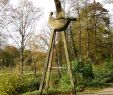 Vogel Garten Elegant Botanical Garden Rombergpark – Dortmund – tourist
