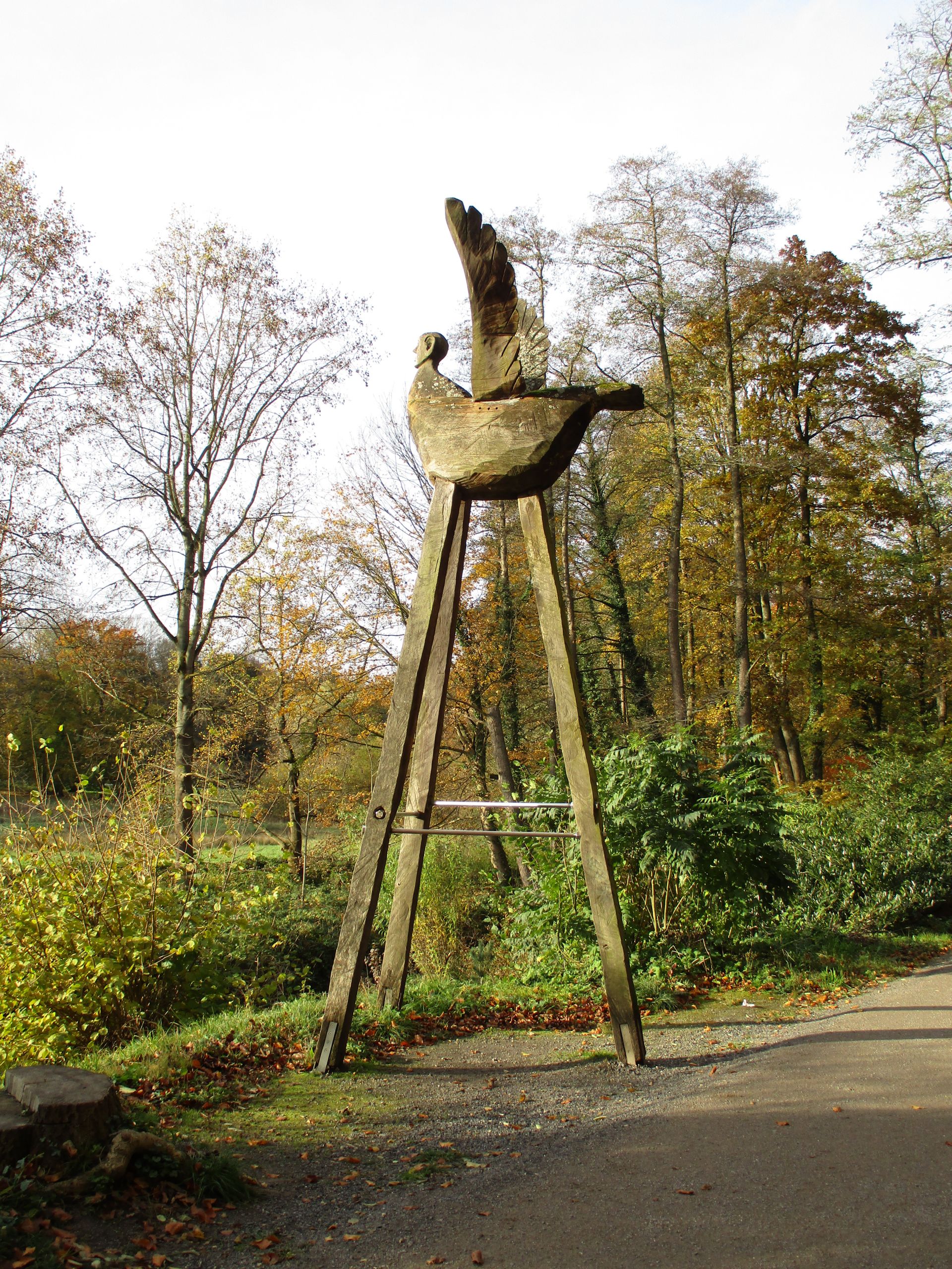 Vogel Garten Elegant Botanical Garden Rombergpark – Dortmund – tourist