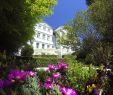Vogel Garten Luxus Hotel Zur Linde Prices & Reviews Teufen Switzerland