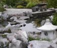Wege Im Garten Anlegen Best Of Wege Gartenwege Anlegen Wasserpfad Im Chinesischen Garten