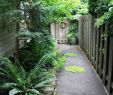 Wege Im Garten Anlegen Schön Kleinen Garten Mit Viel Grün Und Duftenden Blumen Gestalten