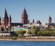 Weinanbau Im Garten Best Of Städtereise Mainz Erlebe Highlights Der Metropole In All Ihren Facetten