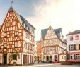 Weinanbau Im Garten Schön Städtereise Mainz Erlebe Highlights Der Metropole In All Ihren Facetten