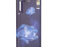 Whirlpool Garten Test Schön Whirlpool 190 Ltr 3 Star 205 Impc Roy 3s Single Door Refrigerator Blue