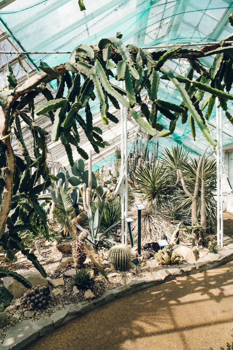 Wohnen Und Garten Abo Inspirierend Birmingham Botanical Gardens
