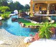 Yakuzi Pool Garten Elegant Backyard Oasis Lazy River Pool with island Lagoon and