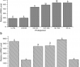 Zahnarzt Waltrop Best Of the Effect and Mechanism Of Light On the Growth Food Intake
