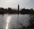 Zoologischer Garten Magdeburg Genial Stadtpark Rotehorn Magdeburg 2020 All You Need to Know